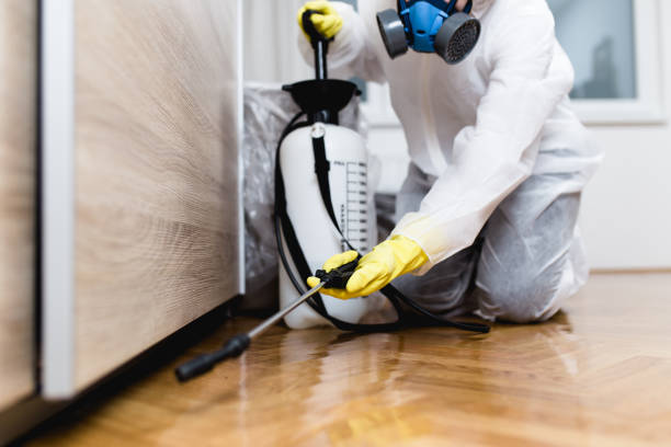 Best Termite Control Services  in Fairview, GA