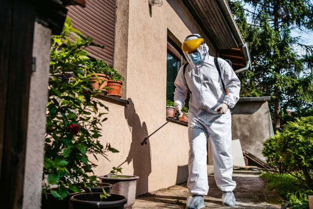 Best Flea Control Services  in Fairview, GA