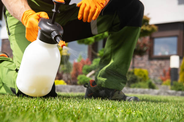 Best Termite Control Services  in Fairview, GA