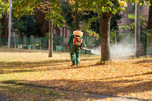 Best Pest Removal Services  in Fairview, GA