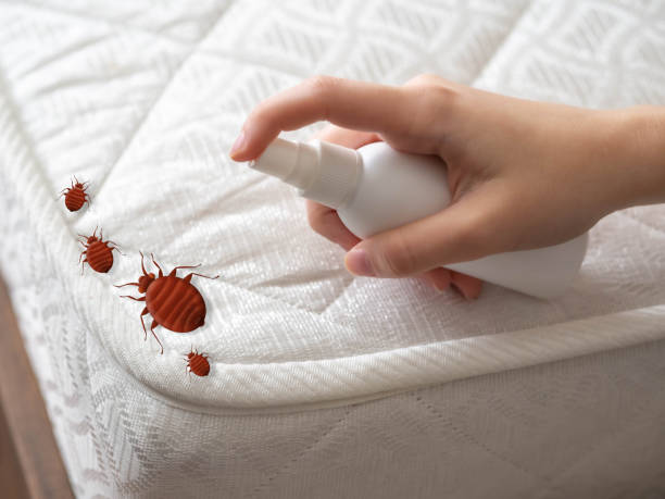 Best Pest Prevention Services  in Fairview, GA