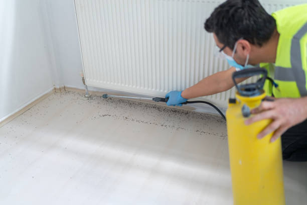 Best Bed Bug Extermination  in Fairview, GA