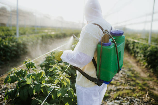Reliable Fairview, GA Pest Control Solutions